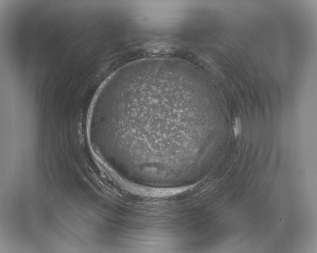 X0000075901396200609291720