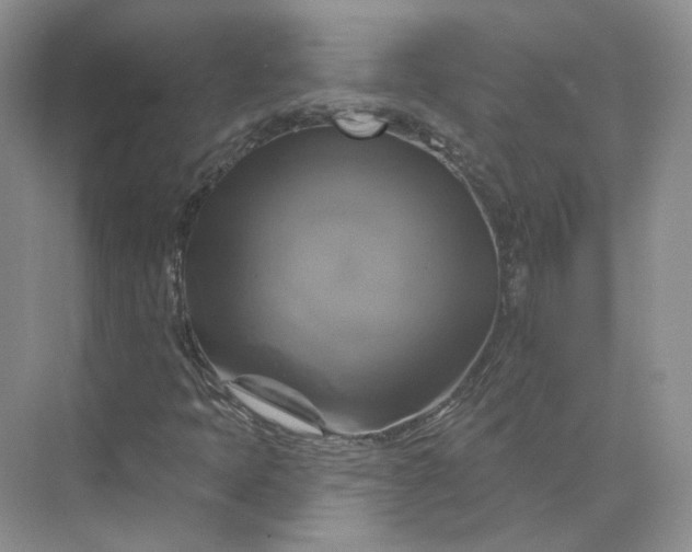 X0000075901397200609291720