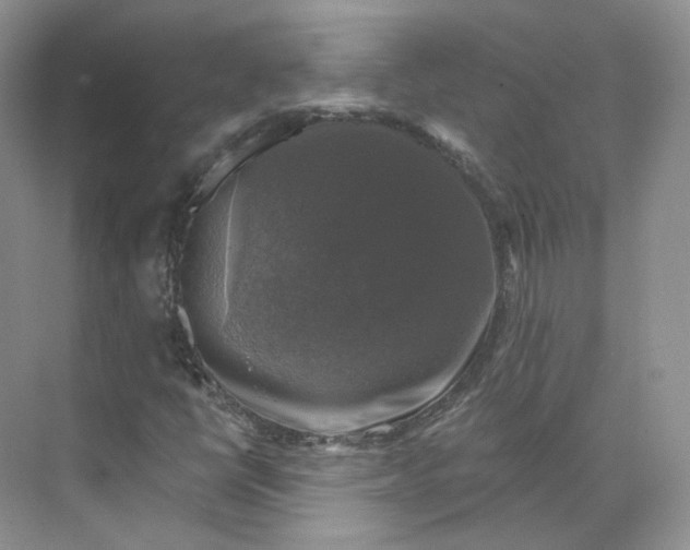 X0000075901398200609291720