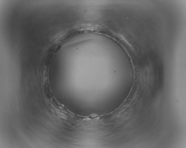 X0000075901399200609291720