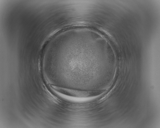 X0000075901402200609291720