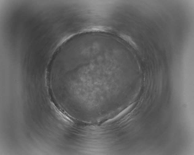 X0000075901404200609291720