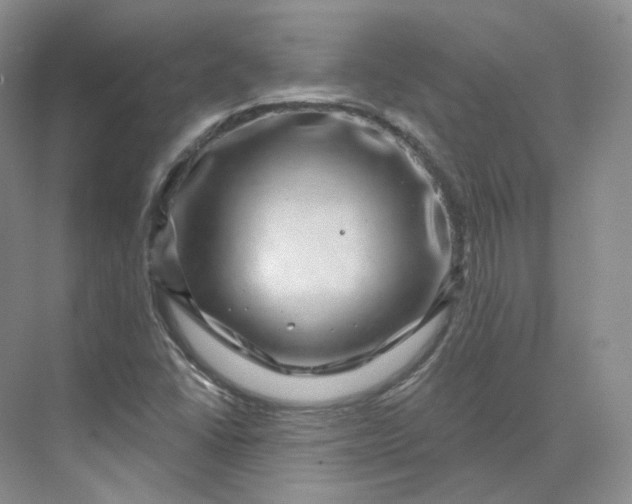 X0000075901406200609291720