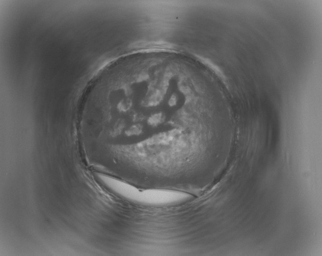 X0000075901407200609291720