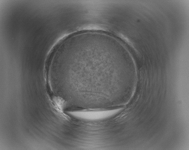 X0000075901408200609291720