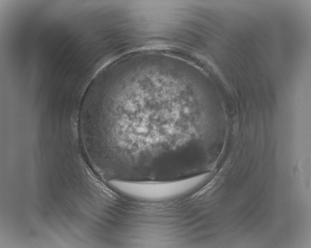 X0000075901409200609291720