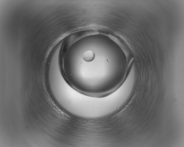 X0000075901410200609291720