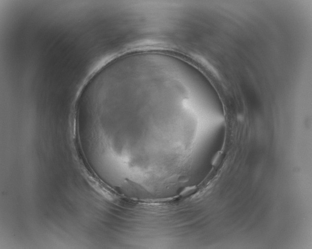 X0000075901413200609291720