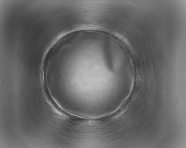 X0000075901414200609291720