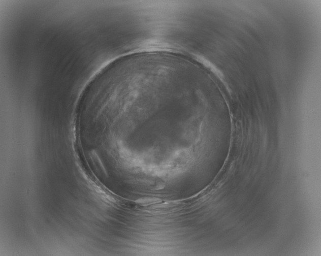 X0000075901415200609291720