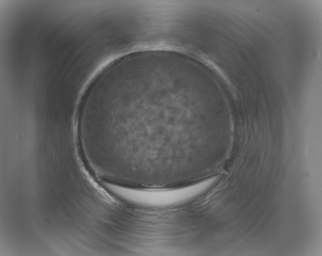 X0000075901416200609291720