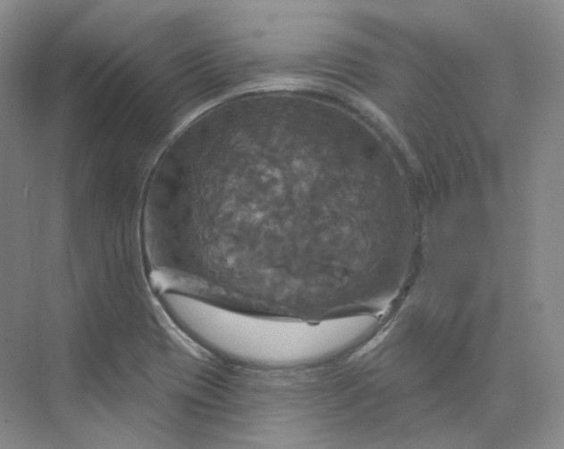 X0000075901417200609291720