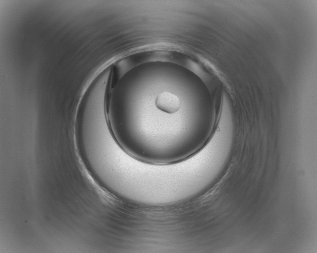 X0000075901418200609291720