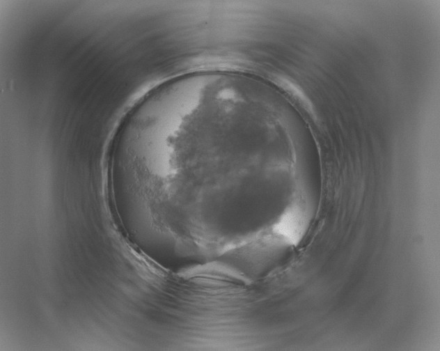 X0000075901419200609291720