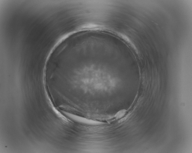 X0000075901421200609291720