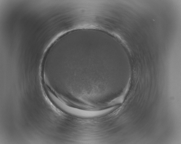 X0000075901422200609291720