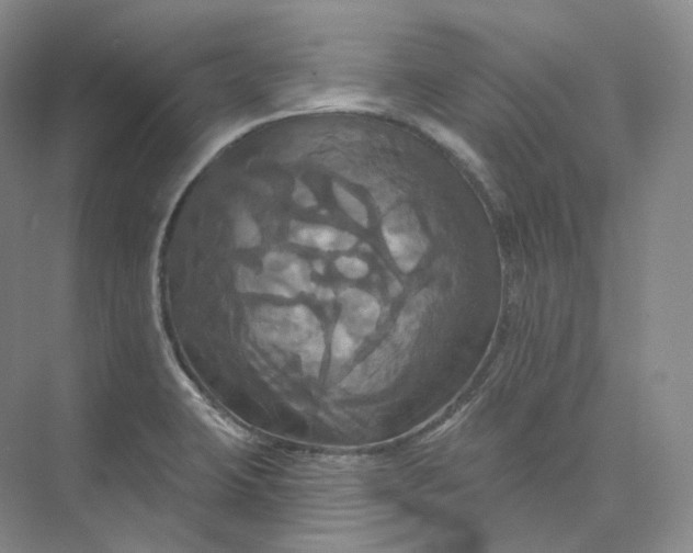 X0000075901423200609291720