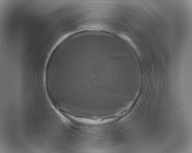 X0000075901424200609291720