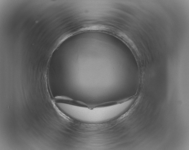 X0000075901425200609291720