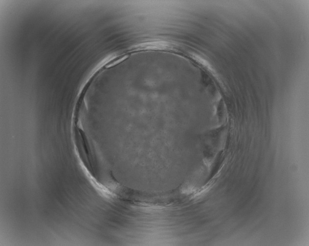 X0000075901426200609291720