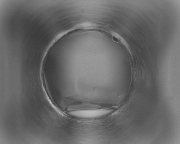 X0000075901429200609291720