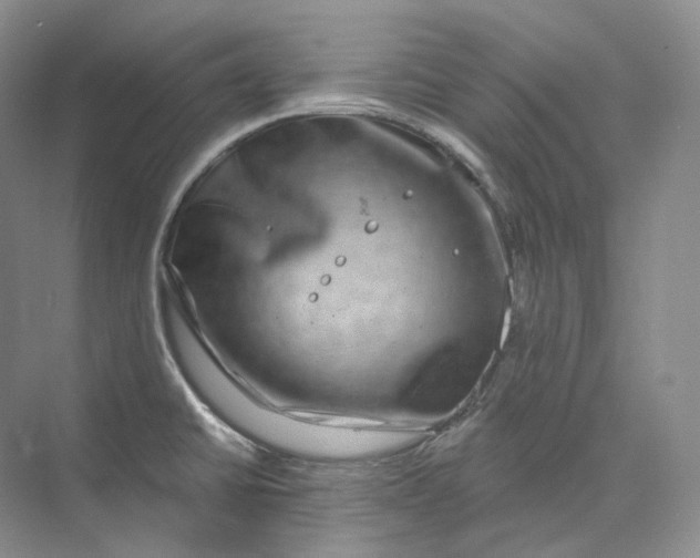 X0000075901430200609291720