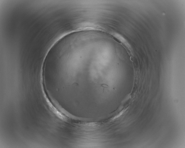 X0000075901431200609291720