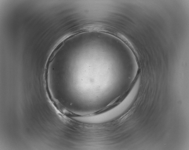 X0000075901434200609291720