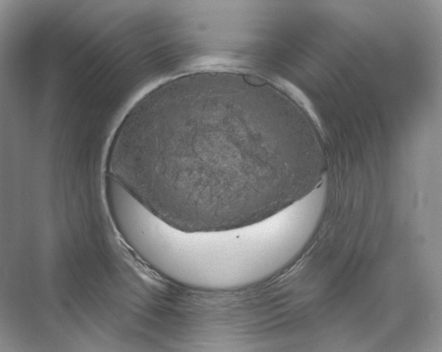 X0000075901435200609291720