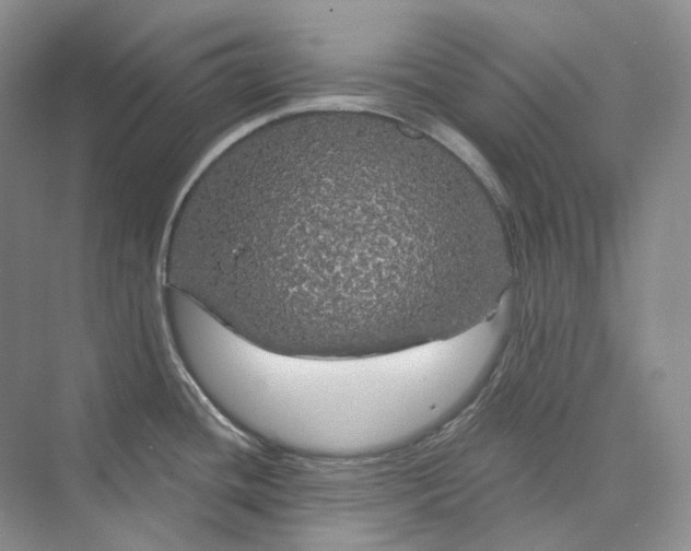 X0000075901436200609291720