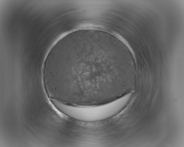 X0000075901437200609291720