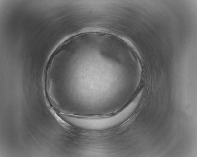 X0000075901438200609291720