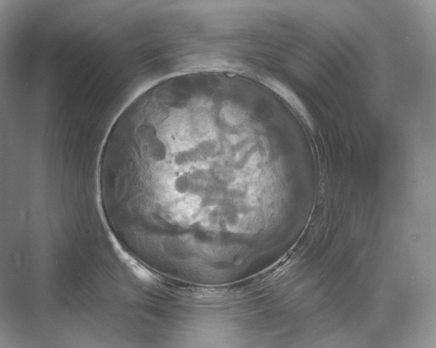 X0000075901439200609291720