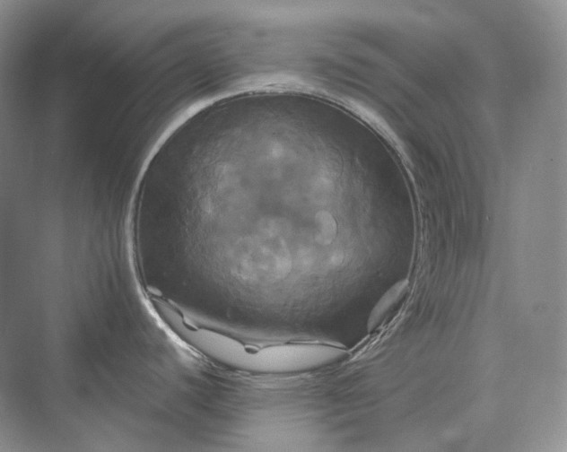 X0000075901440200609291720