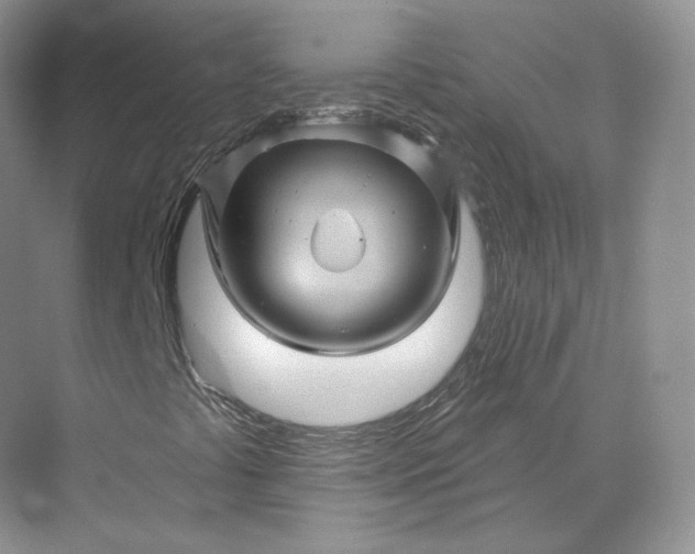 X0000075901441200609291719