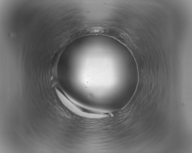 X0000075901442200609291719