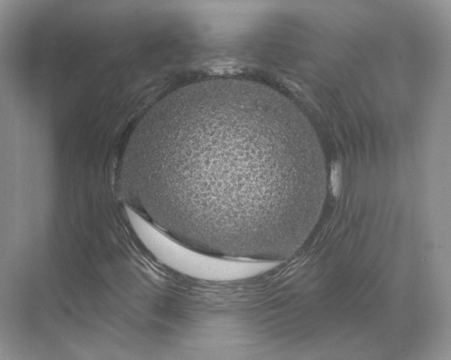 X0000075901444200609291719