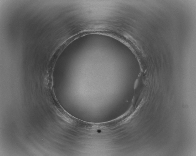 X0000075901449200609291719