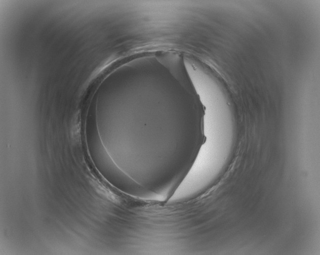 X0000075901450200609291719