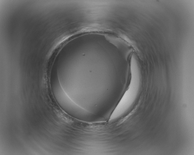 X0000075901453200609291719