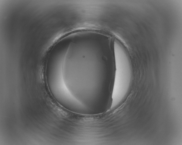 X0000075901455200609291719