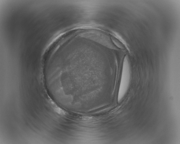 X0000075901456200609291719