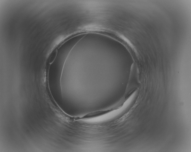 X0000075901461200609291719