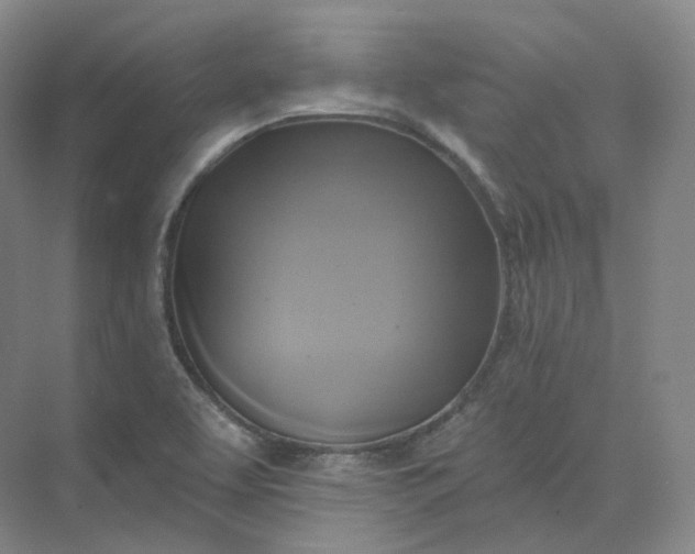 X0000075901463200609291719