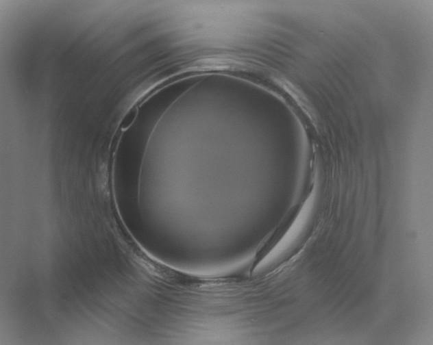 X0000075901465200609291719