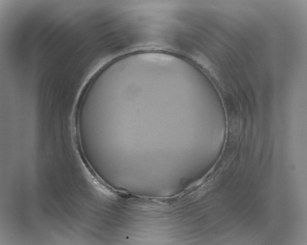 X0000075901466200609291719