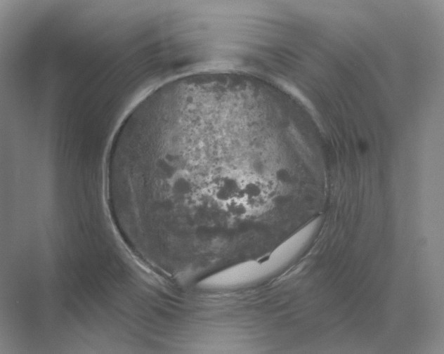 X0000075901467200609291719