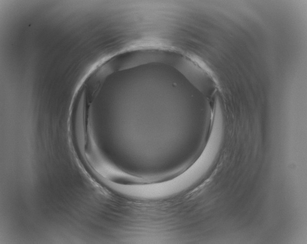 X0000075901469200609291719