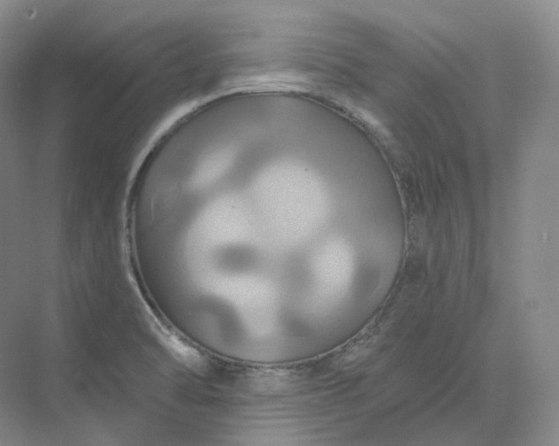 X0000075901470200609291719