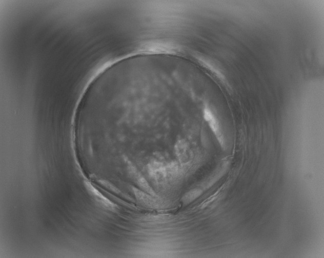 X0000075901471200609291719